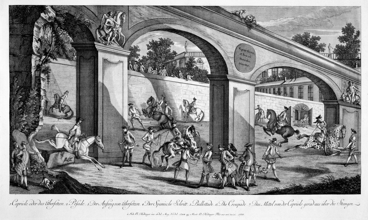 Hevosten koulutus ratsuväen tehtäviin, "Le Nouveau Manege", 1776 tekijältä Johann Elias Ridinger or Riedinger