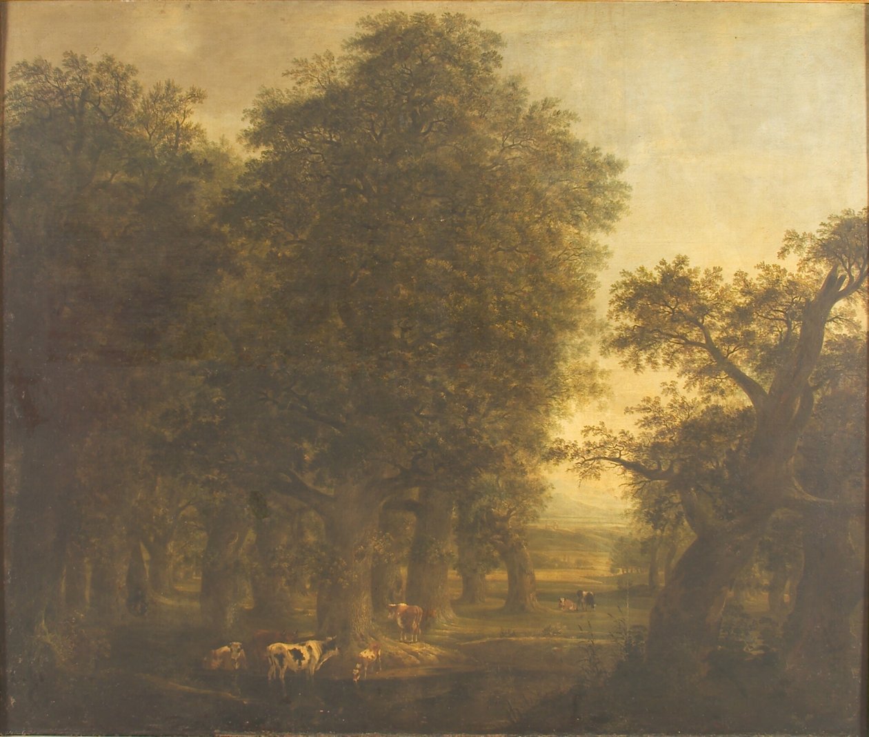 Tammi puu tekijältä Johann Friedrich Weitsch