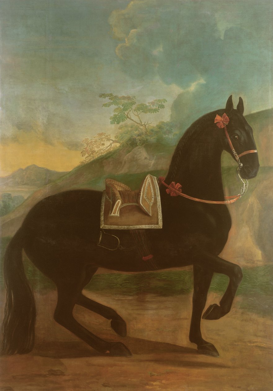 Musta hevonen espanjalaisessa satulassa tekijältä Johann Georg Hamilton
