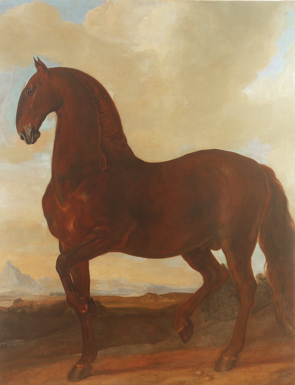 Bay Stallion Eisgruber Studilla tekijältä Johann Georg Hamilton