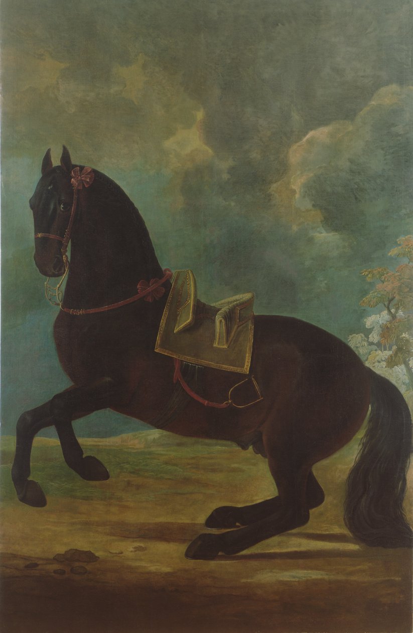 Bay Stallion espanjalaisella satulalla tekijältä Johann Georg Hamilton