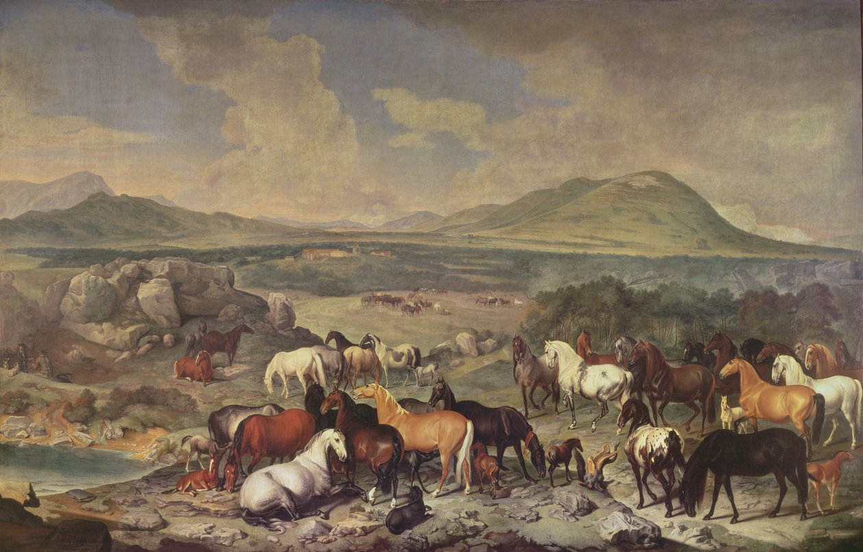 Imperial Stud ja Lipizzaner Horses -hevoset tekijältä Johann Georg Hamilton