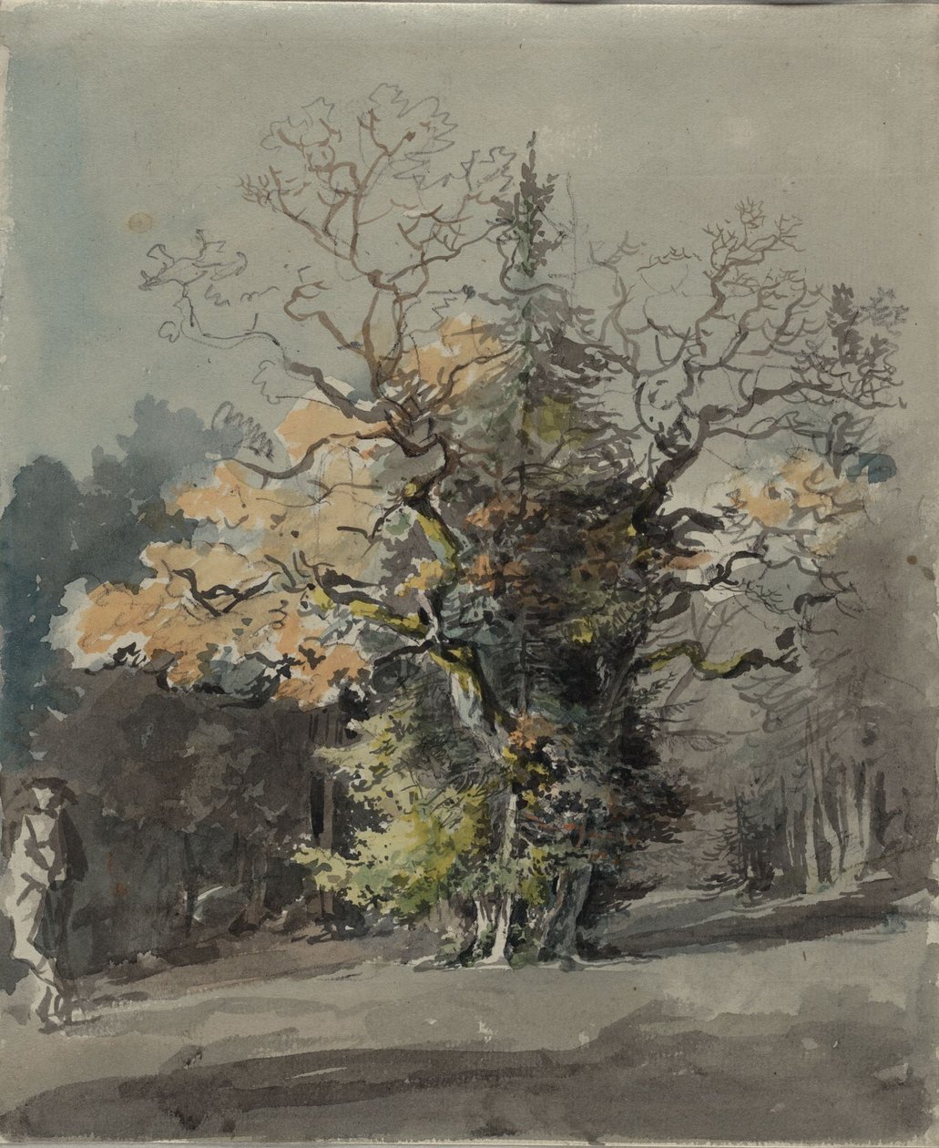 Puuryhmä metsän edustalla tekijältä Johann Georg von Dillis