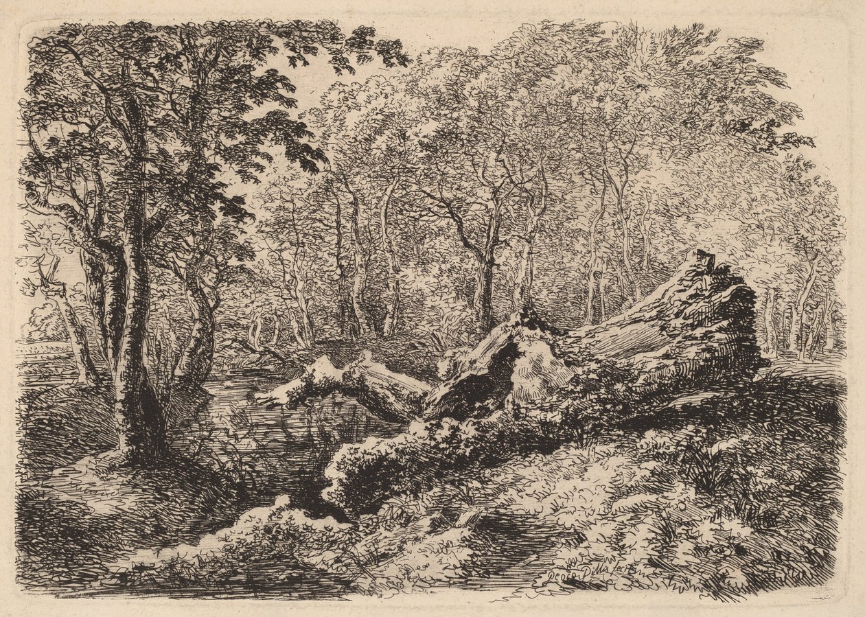 Mouldering-puun runko, 1794. tekijältä Johann Georg von Dillis