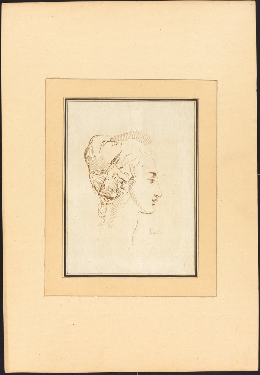 Naisen pää tekijältä Johann Gottlieb Prestel after Guercino