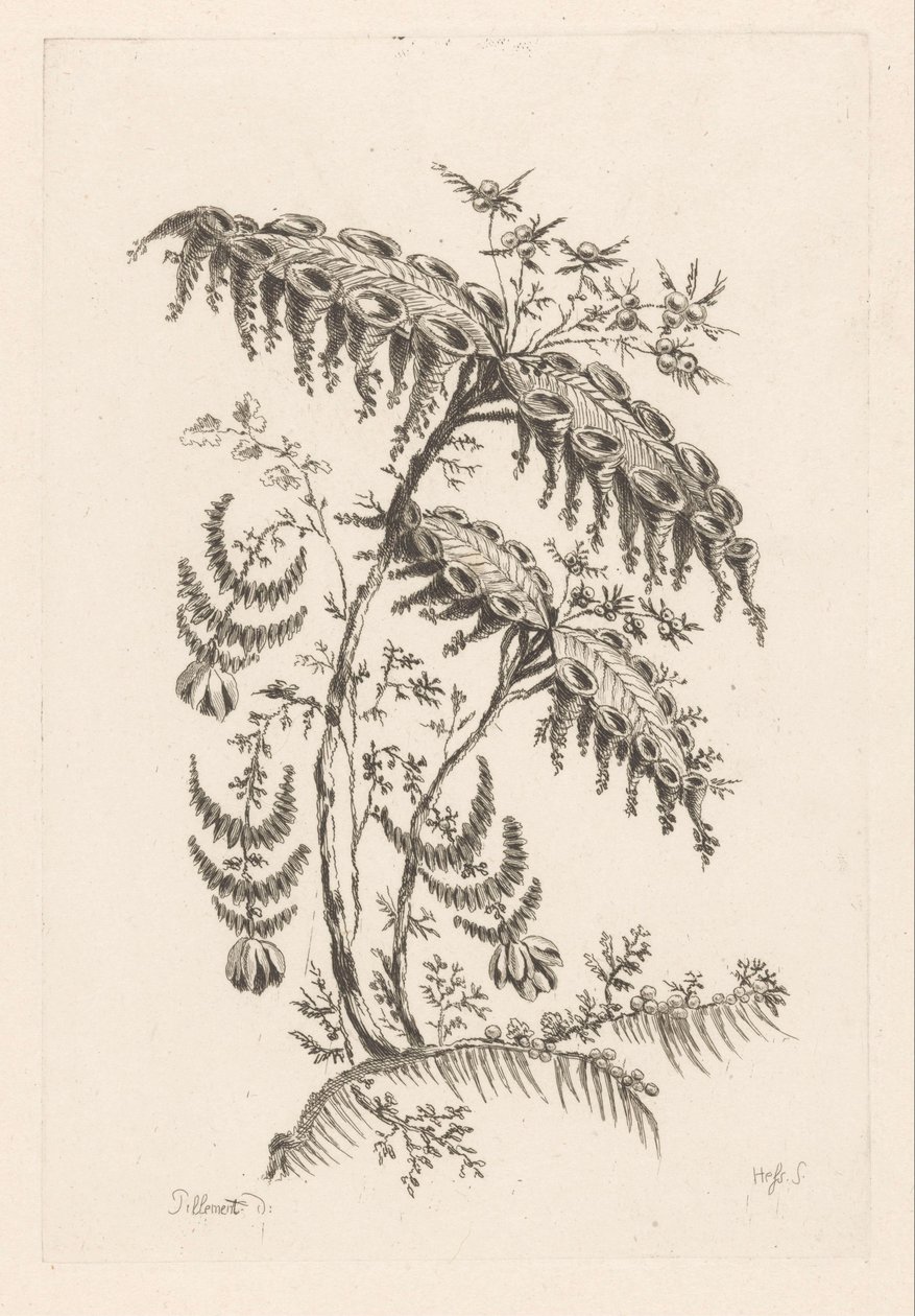 Lehdet sarvimuotoiset Fleures Baroque (sarjan nimi) tekijältä Johann Heinrich  Hess