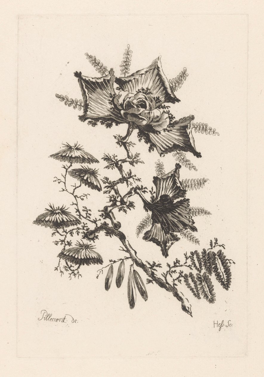 Leijan muotoiset kukat Fleures Baroque (sarjan nimi) tekijältä Johann Heinrich  Hess