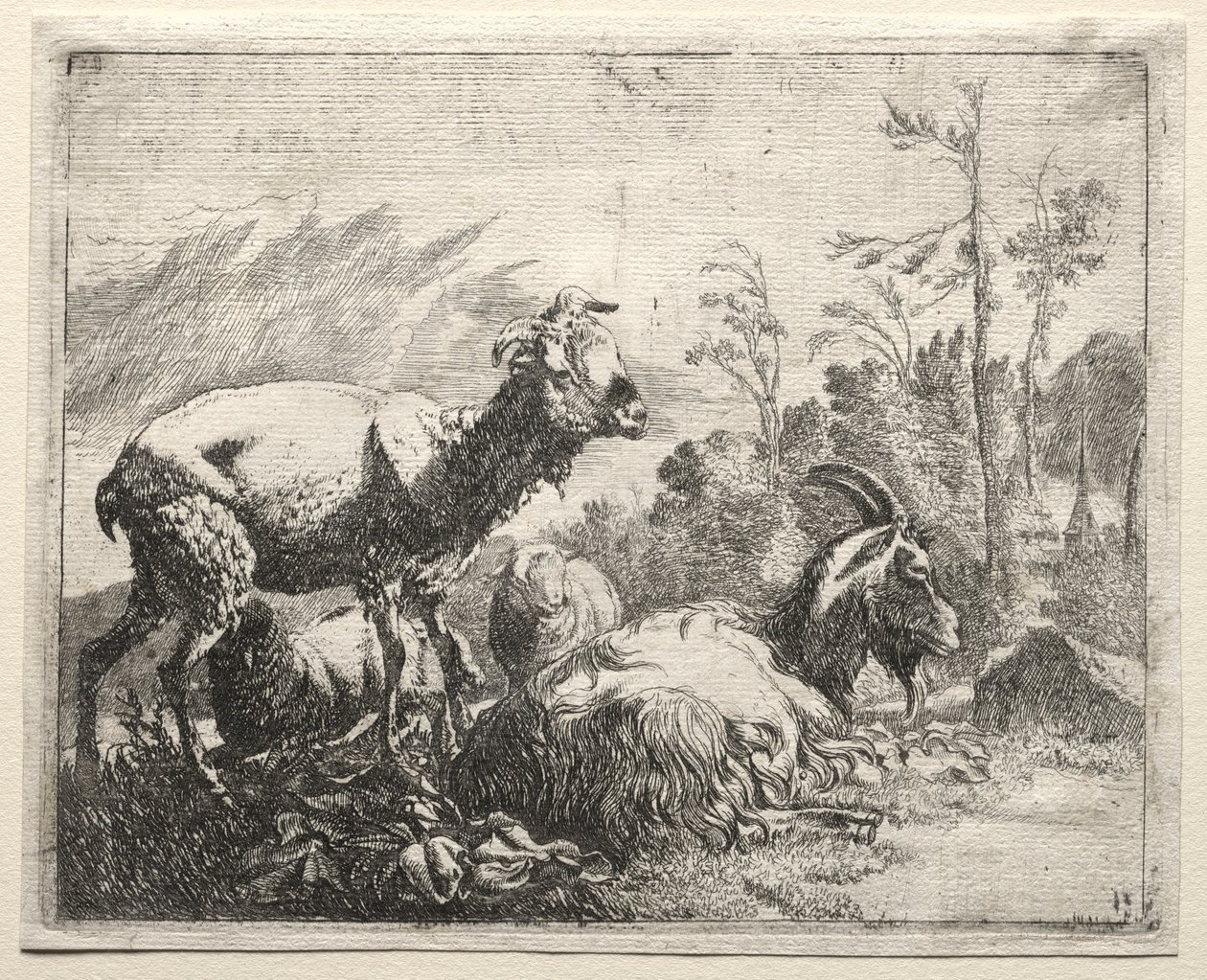 Vuohet tekijältä Johann Heinrich Roos