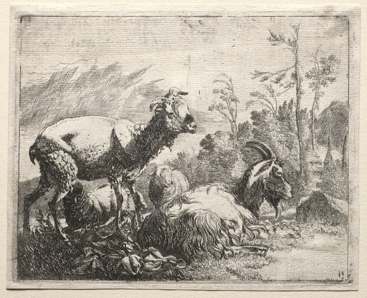Vuohet, 1665. tekijältä Johann Heinrich Roos