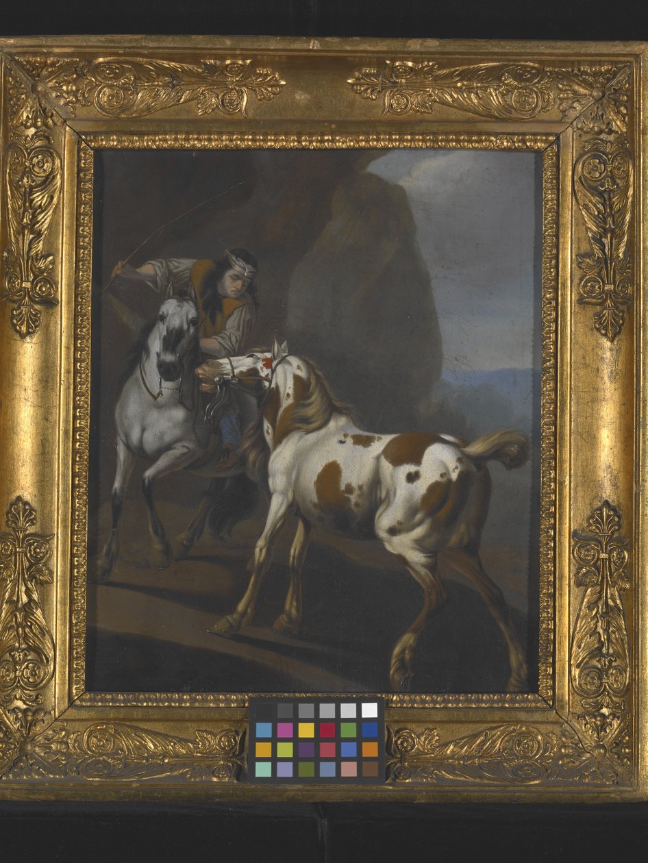 Indian Taming A Horse (öljy kankaalle) tekijältä Johann Heinrich Roos