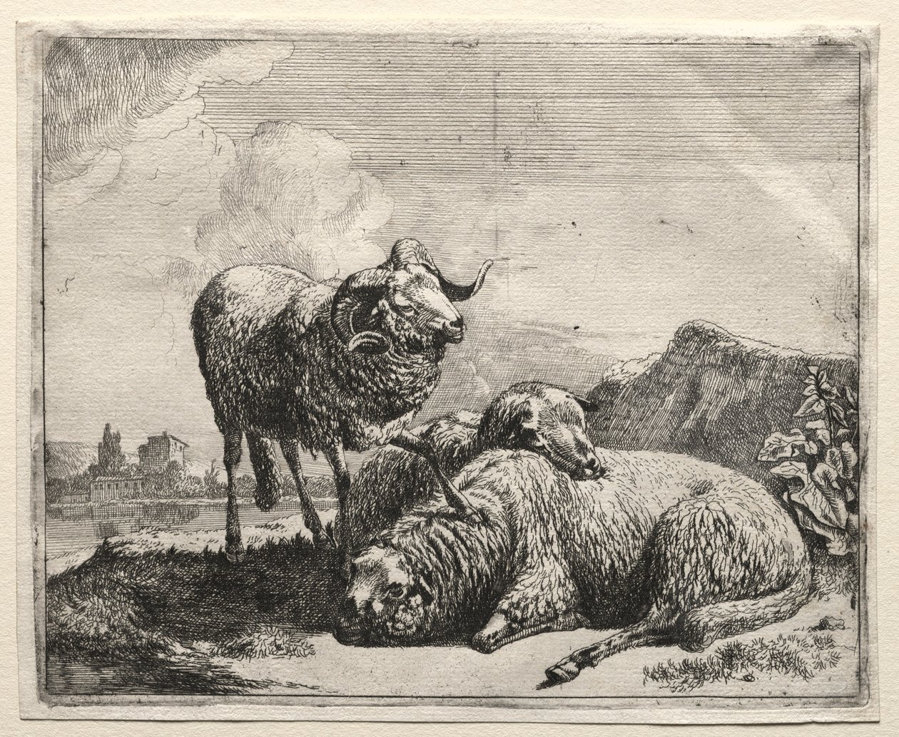 Oinas ja kaksi lammasta, 1665. tekijältä Johann Heinrich Roos
