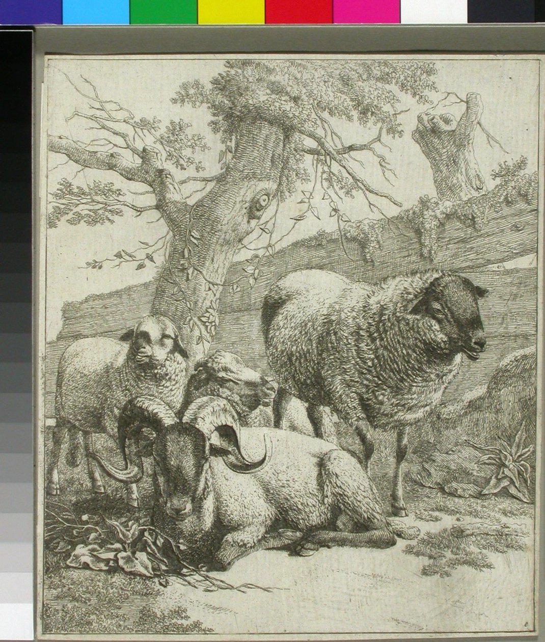 Ohne Titel tekijältä Johann Heinrich Roos