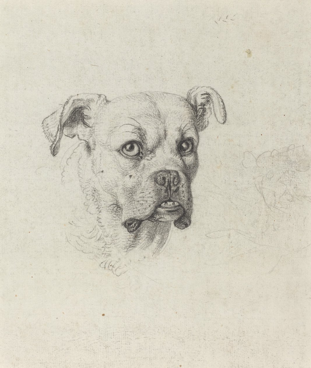 Nyrkkeilijä tekijältä Johann Heinrich Wilhelm Tischbein