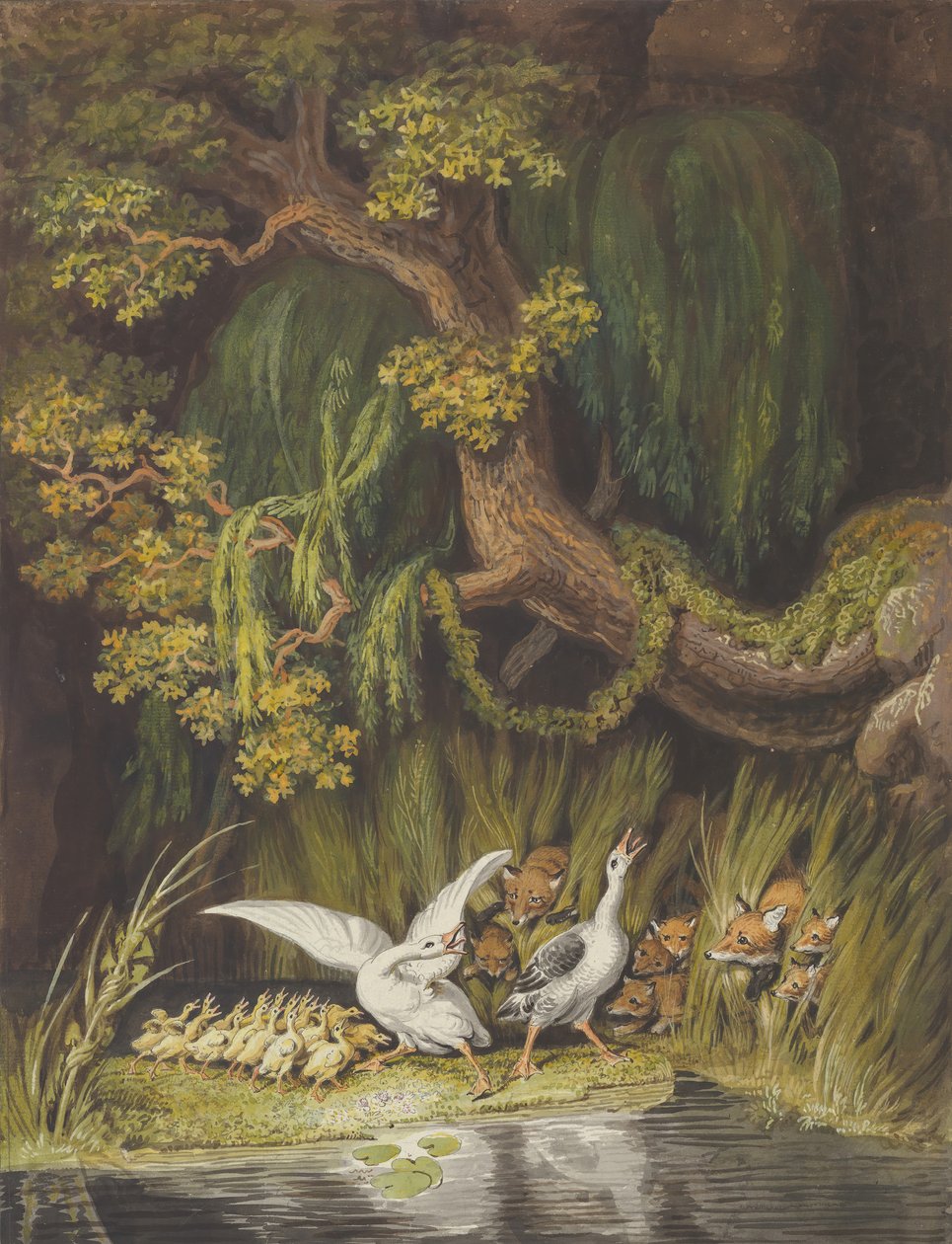Hanhi ja Gander hanhenpoikaineen hälyttävänä kahtena ketuna..., 1700-luvun puoliväli - 1800-luvun alku. tekijältä Johann Heinrich Wilhelm Tischbein