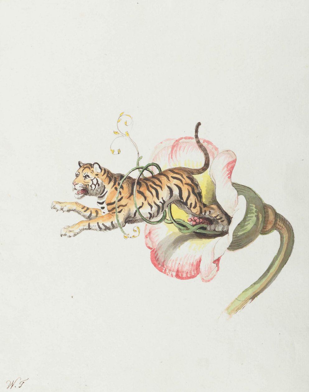 Tiikeri hyppää kukkakruunusta. Allegoria kukkien siemenistä, 1817. tekijältä Johann Heinrich Wilhelm Tischbein