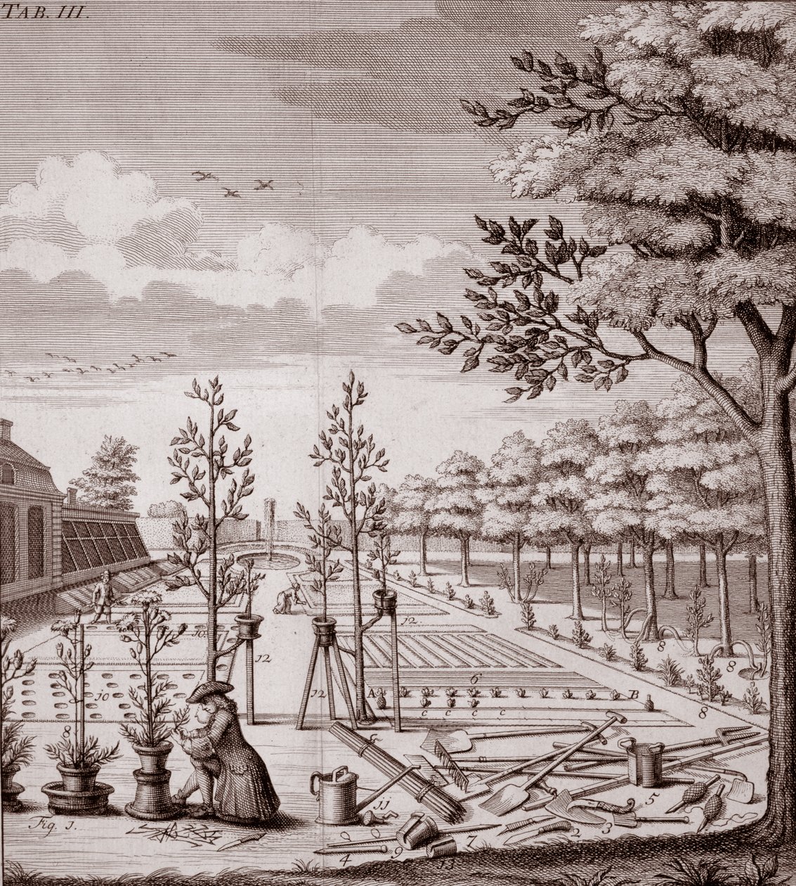 Kuva puutarhanäkymästä, 1753 tekijältä Johann Hermann Knoop