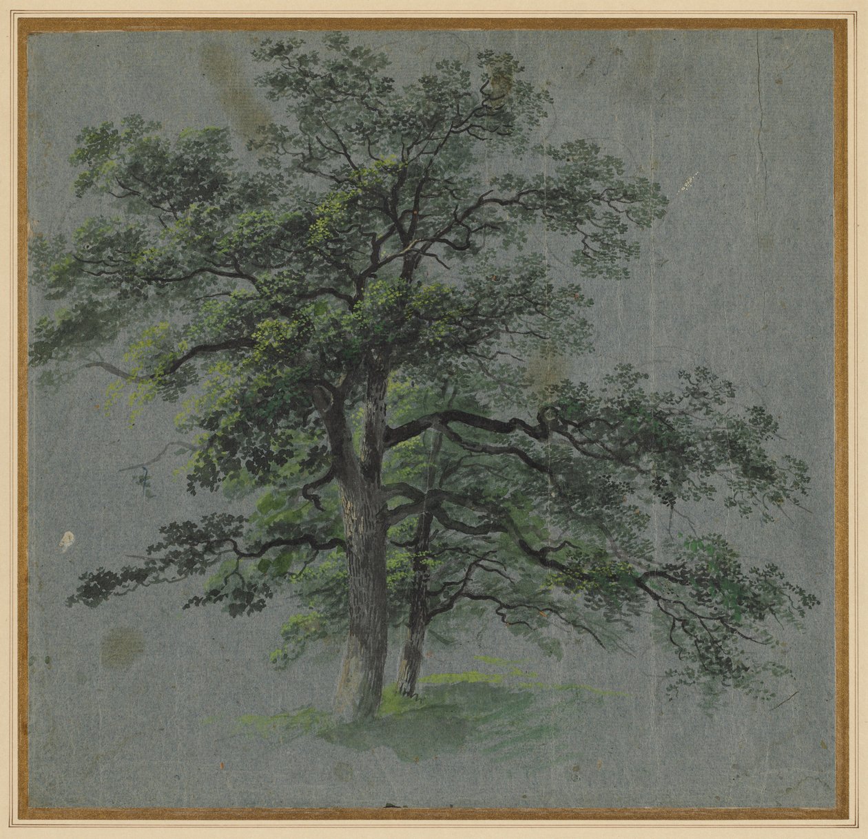 Kaksi puuta, 1800-luvun ensimmäinen puolisko. tekijältä Johann Jacob Dorner