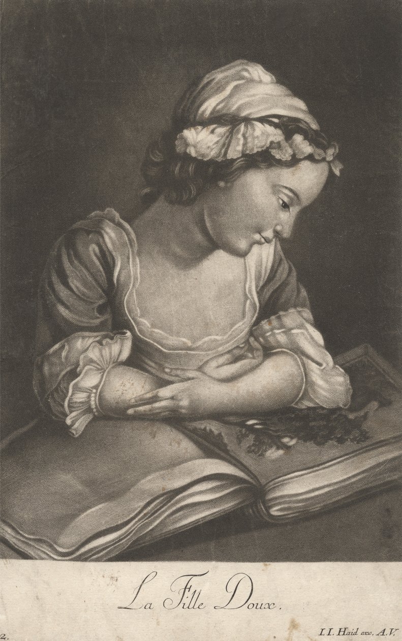 Suloinen tyttö tekijältä Johann Jacobus Haid