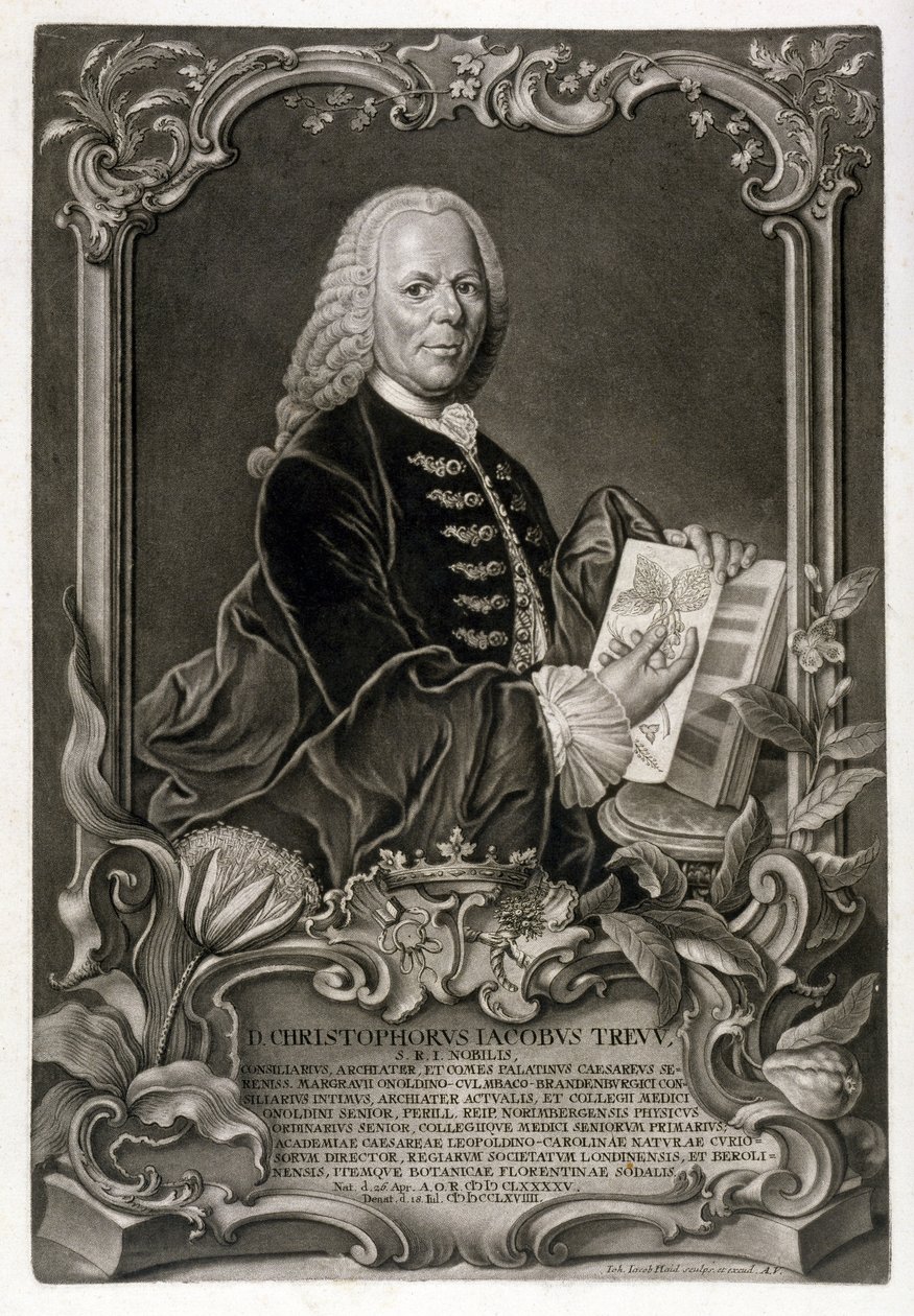 C. J. Trew, kasvitieteilijä, pub. noin 1768 tekijältä Johann Jakob Haid