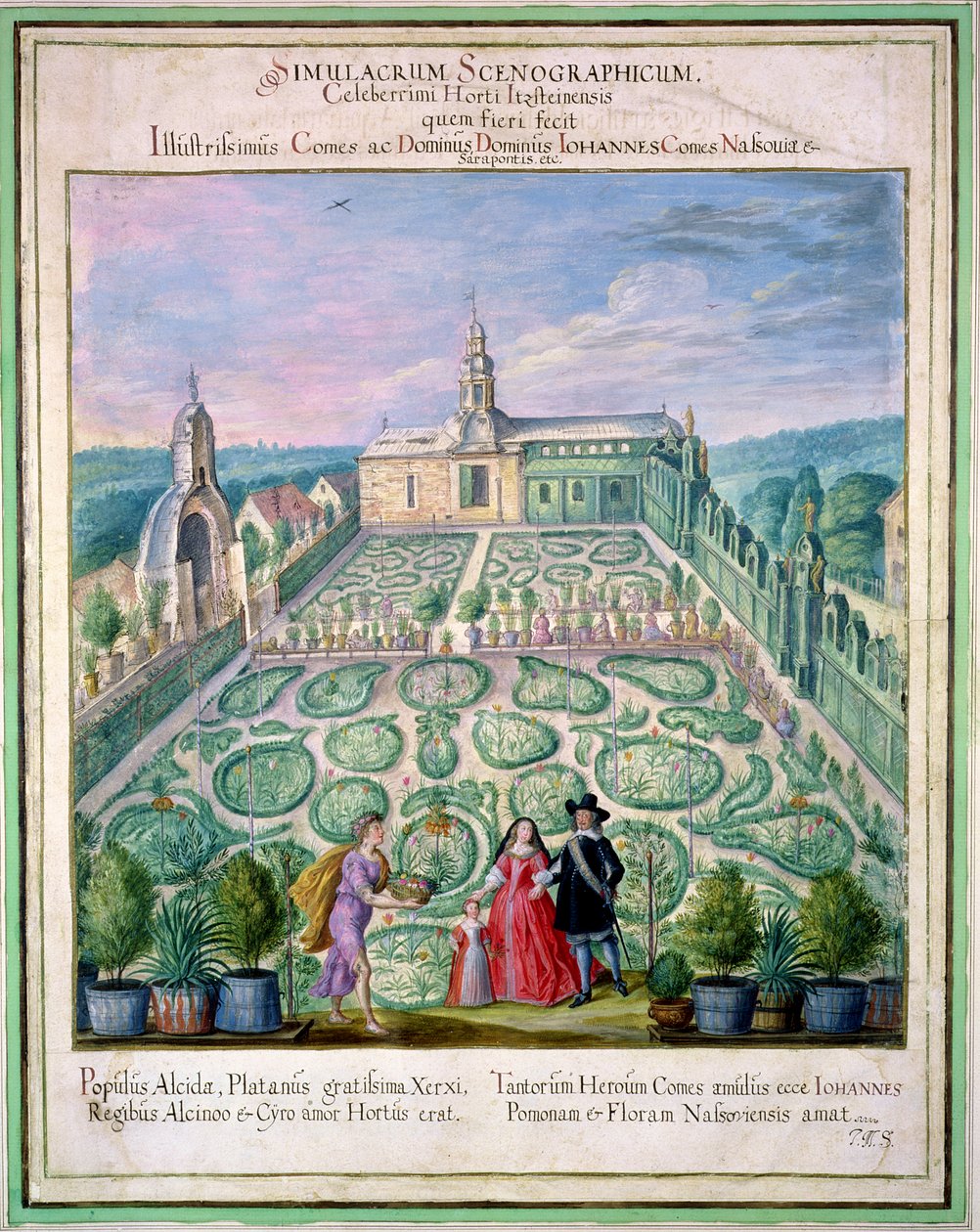 Hollantilainen puutarha, "Nassau Florilegium", 1650 tekijältä Johann Jakob Walther
