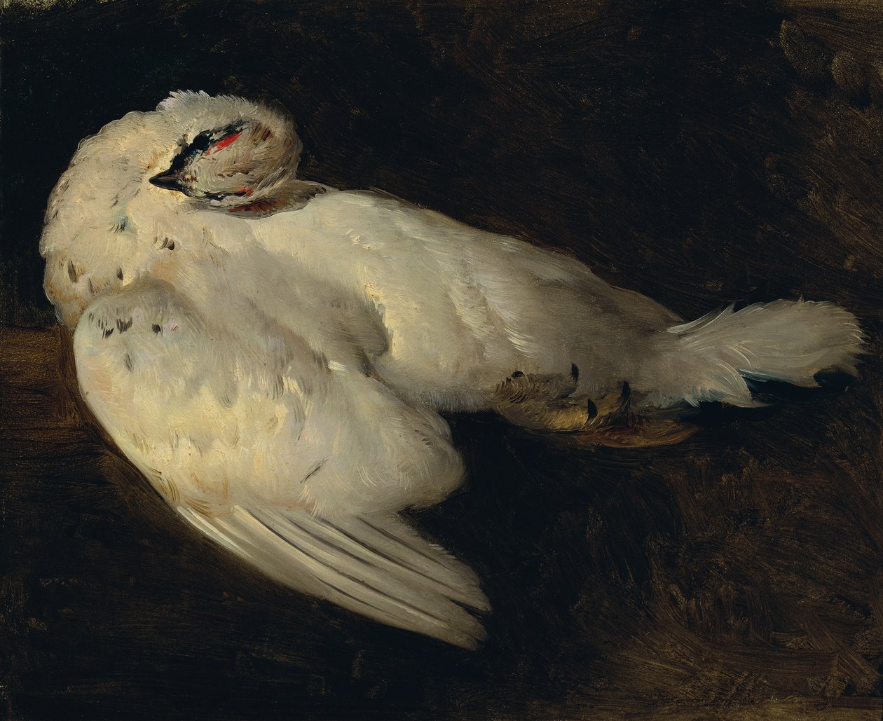 kuollut ptarmigan tekijältä Johann Matthias Ranftl