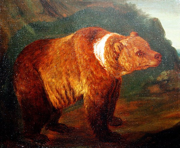 Ruskea karhu maisemassa, n. 1719 (öljy kankaalle) tekijältä Johann Melchior Roos