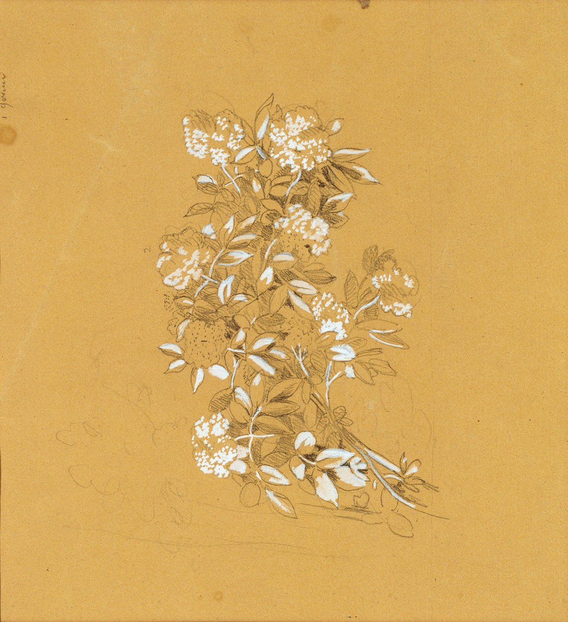 Blumenbouquet tekijältä Johann Peter Krafft