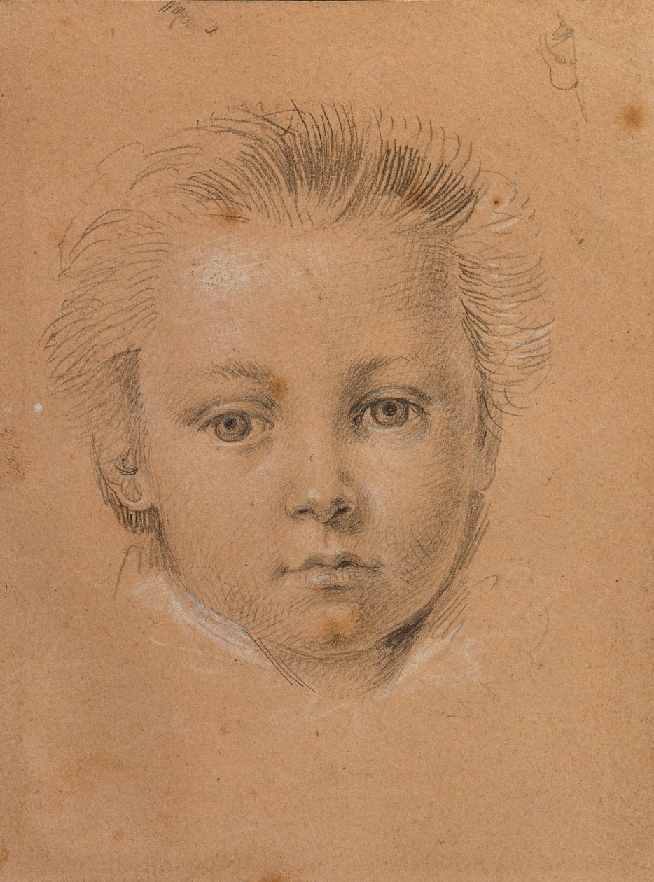 Pojan päätutkimus tekijältä Johann Peter Krafft