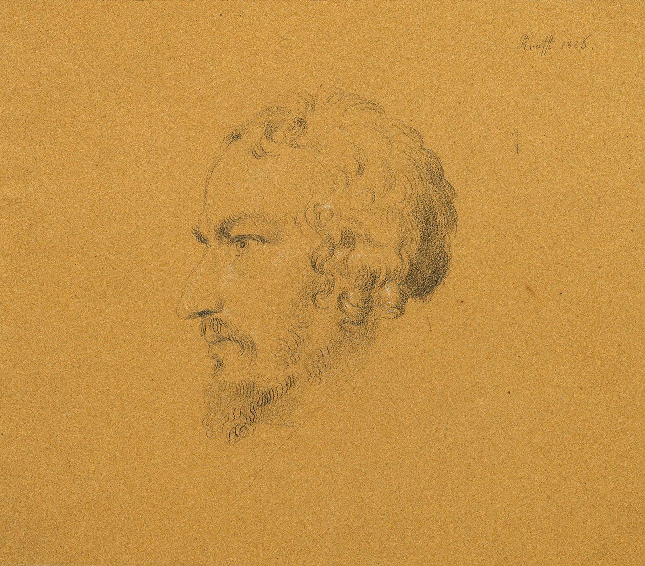 Tutkimus parrakkaasta miehestä tekijältä Johann Peter Krafft