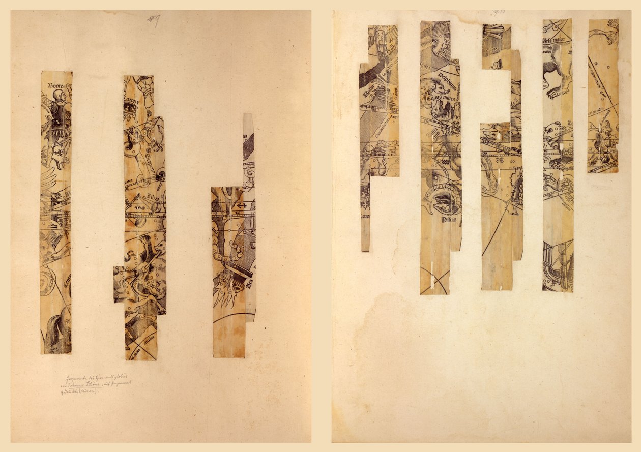 Fragmentaarinen taivaanpallo. LOC 2016586440 tekijältä Johann Schöner