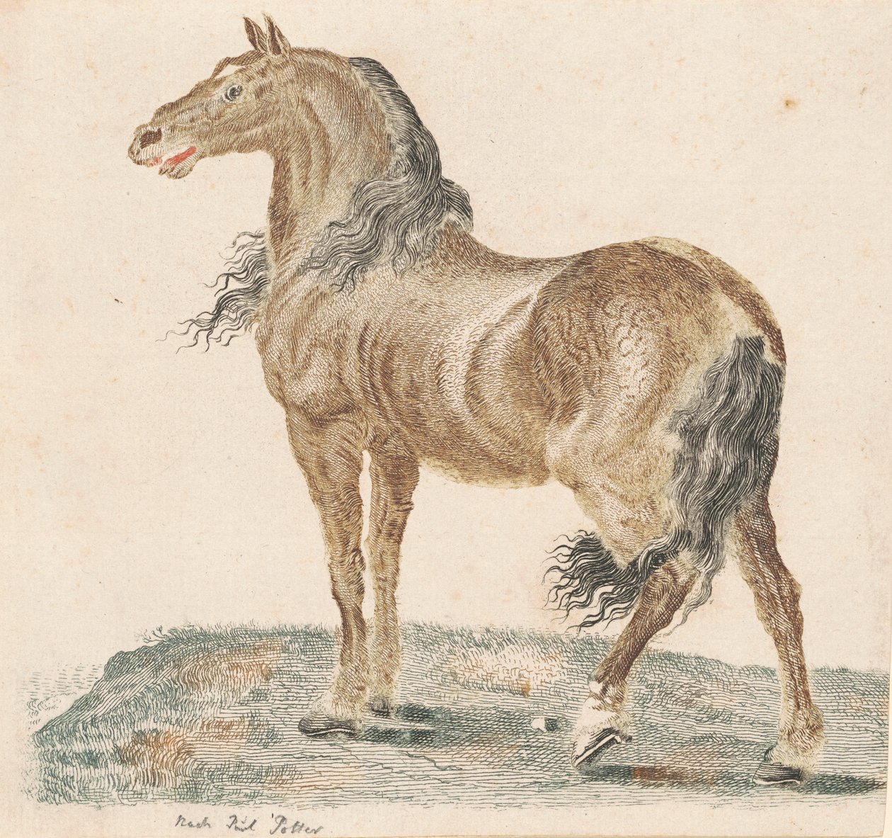 Naapurihevonen tekijältä Johann Teyler, after Paulus Potter