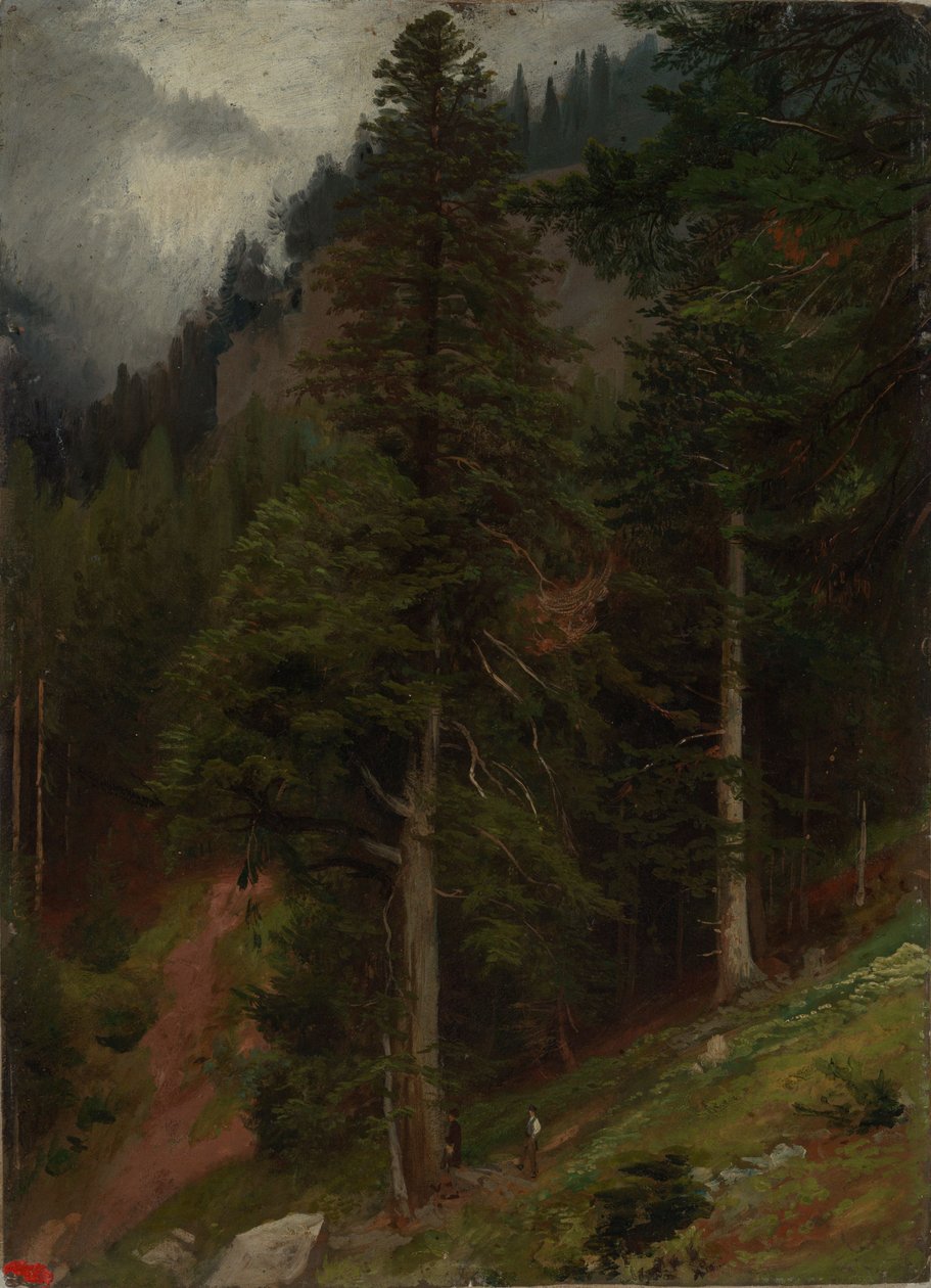 Rinne kuusimetsässä tekijältä Johann Wilhelm Schirmer