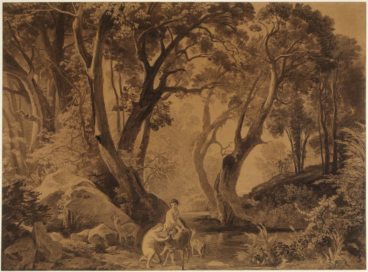 Alkuperäismetsän syvyydet (Paratiisissa II) tekijältä Johann Wilhelm Schirmer