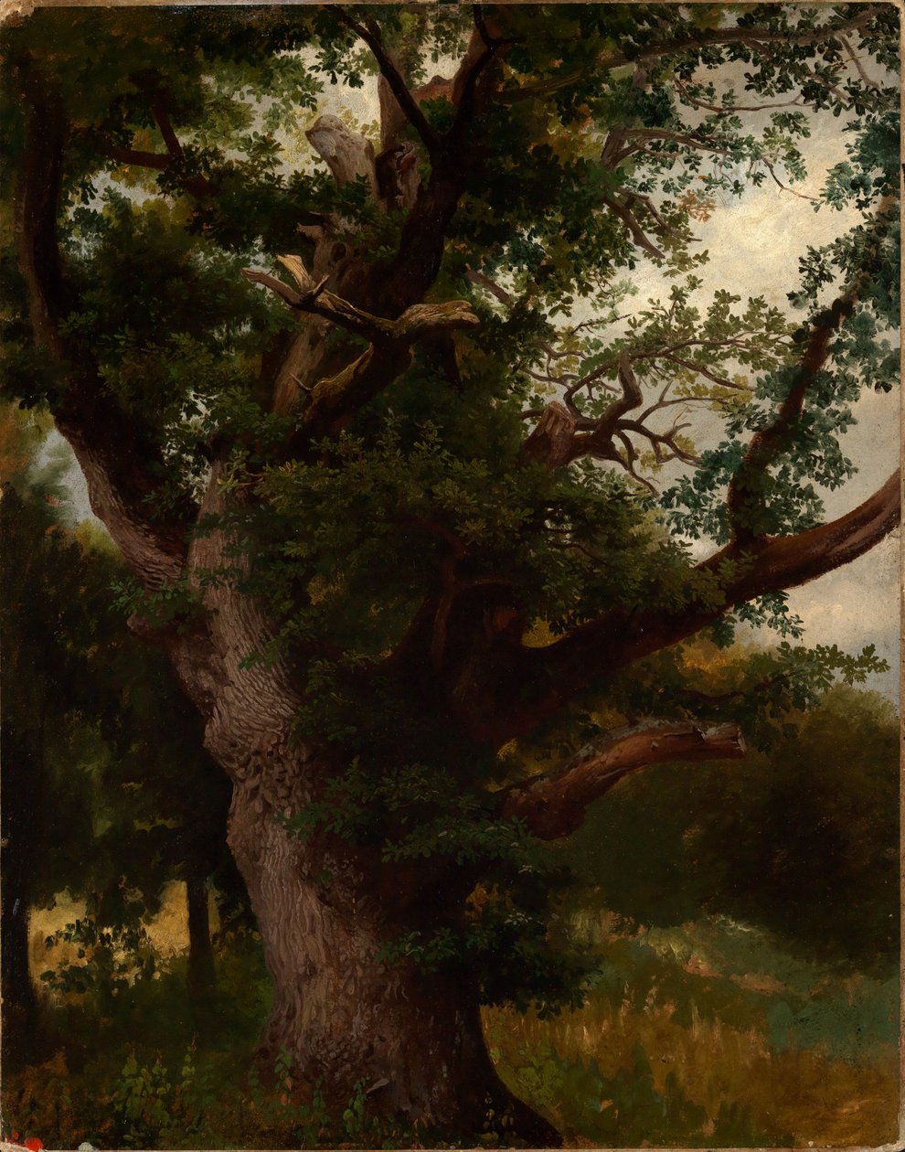 Eichbaum tekijältä Johann Wilhelm Schirmer
