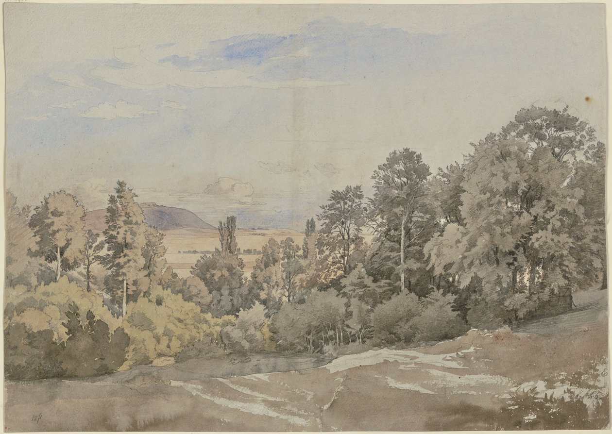 Metsä ja kaukainen näkymä tekijältä Johann Wilhelm Schirmer