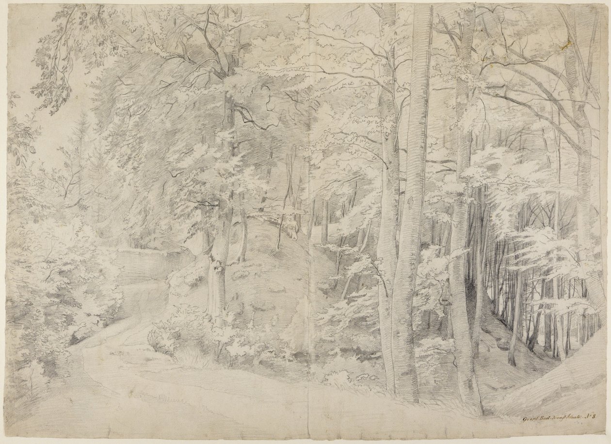 Pyökkimetsässä tekijältä Johann Wilhelm Schirmer