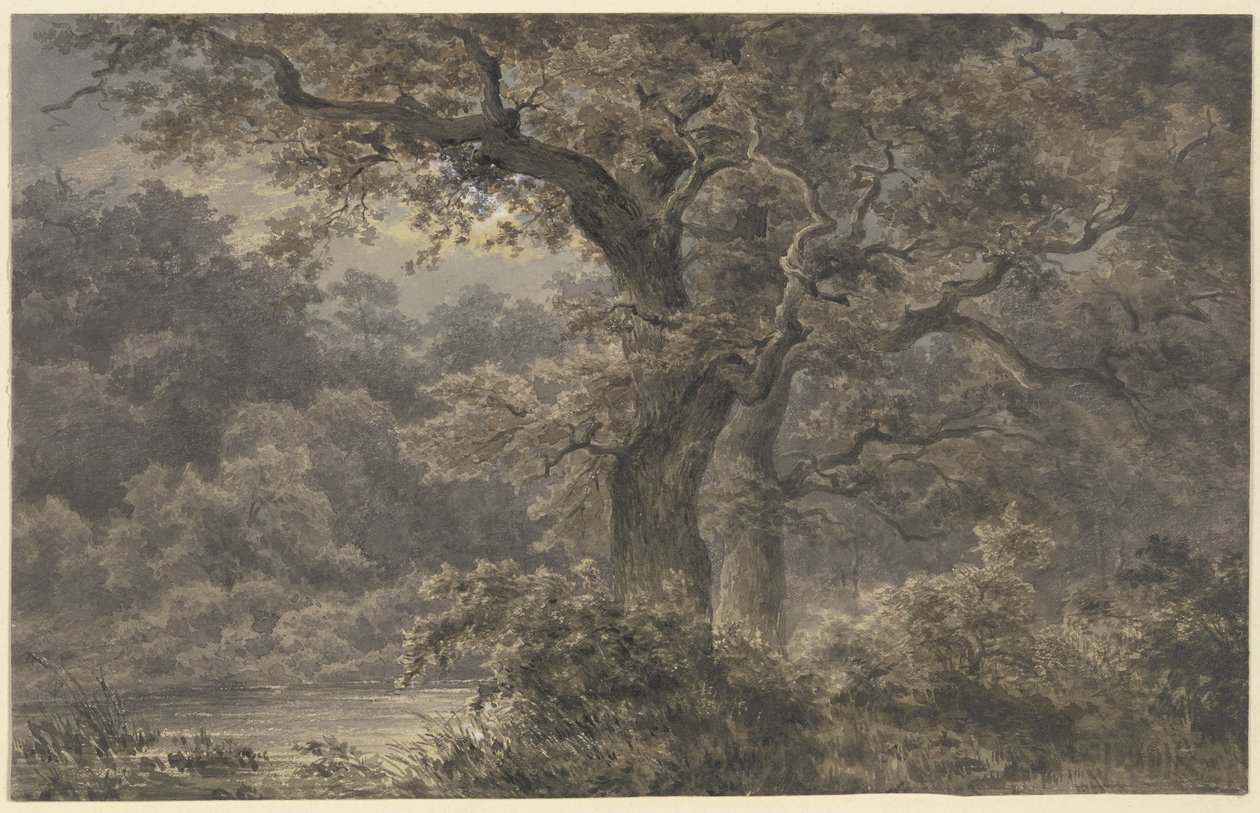 Metsän tammipuut tekijältä Johann Wilhelm Schirmer