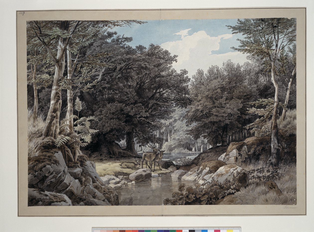 Metsän sisäosa ja peuroja veden äärellä tekijältä Johann Wilhelm Schirmer