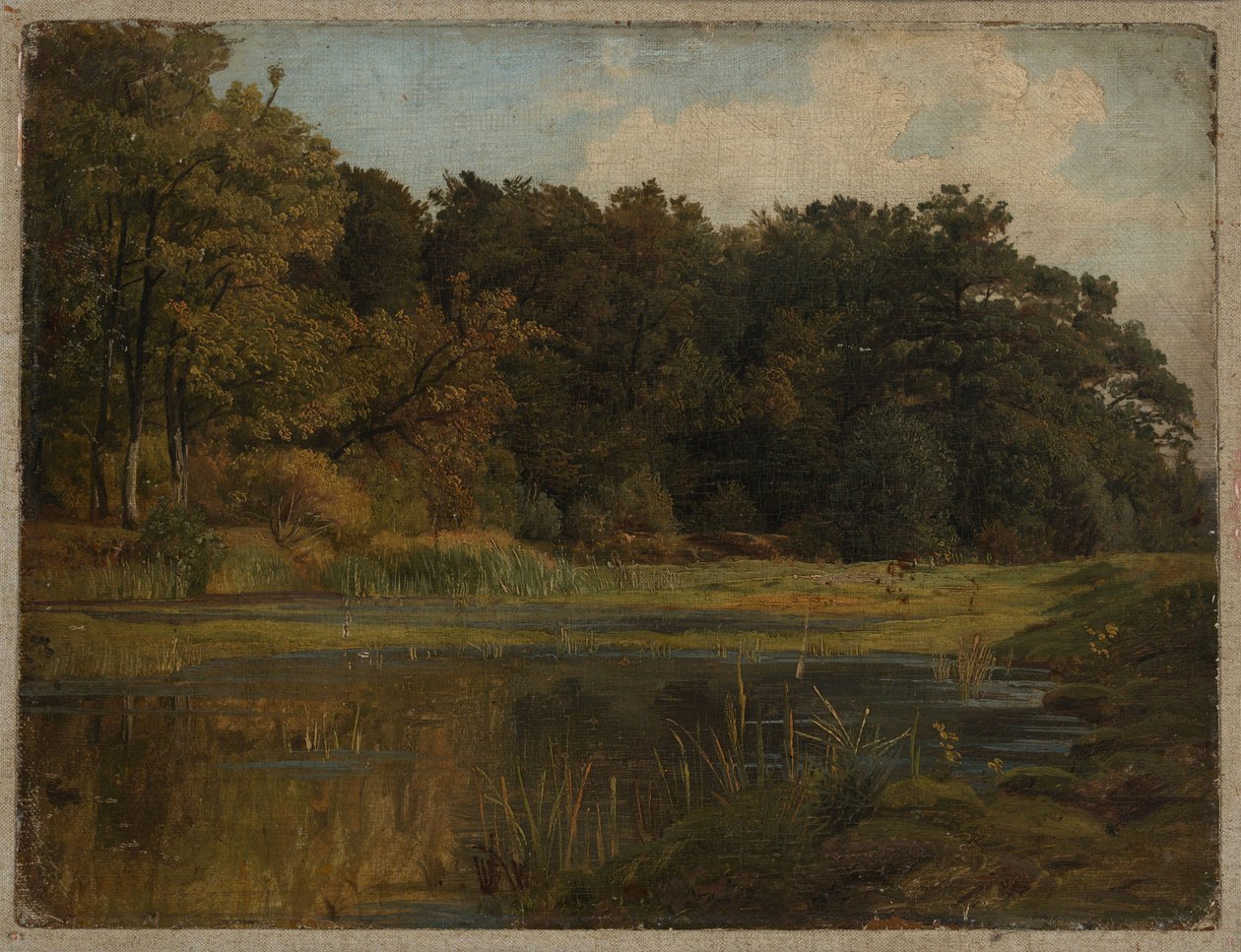 Metsälampi tekijältä Johann Wilhelm Schirmer