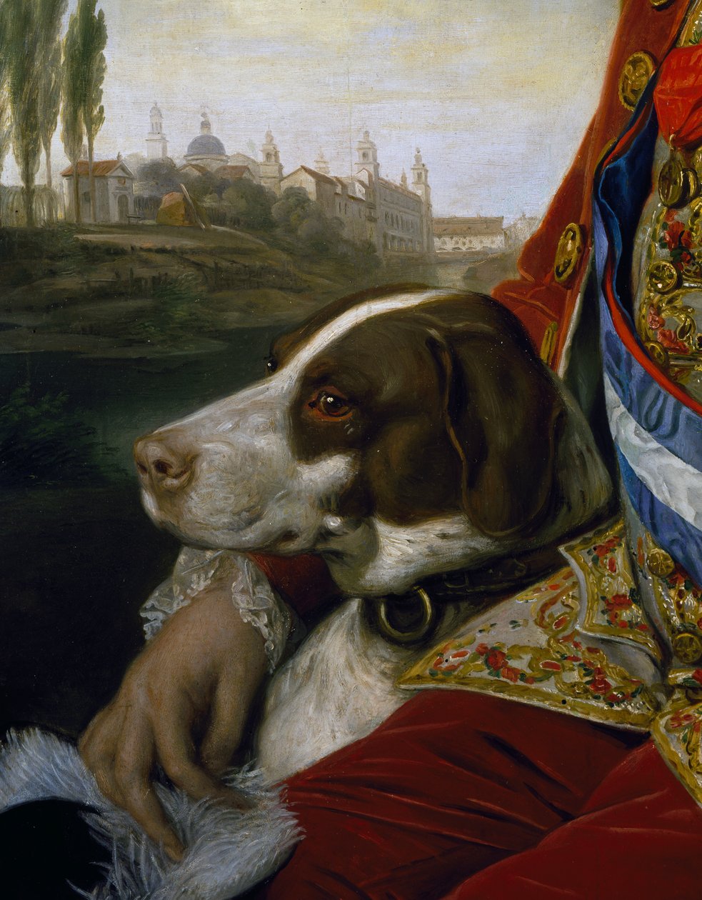Koira, yksityiskohta Parman herttuan Ferdinand of Bourbonin muotokuvasta tekijältä Johann Zoffany