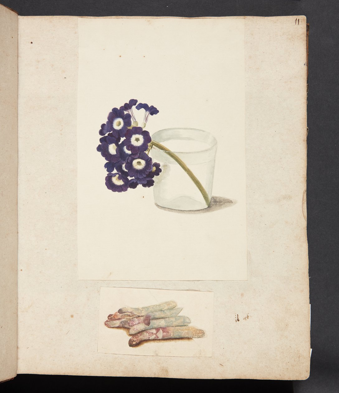 Tutkimus kukista lasissa veden ja valkoisen parsan kanssa tekijältä Johanna Fosie