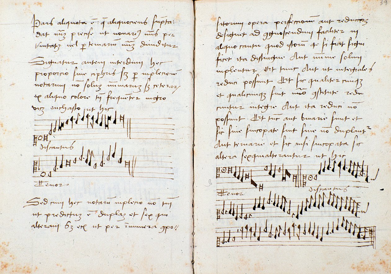 Sivu Johannes Tinctorisin musiikin teoriakirjasta tekijältä Johannes (c.1435 1511) Tinctoris