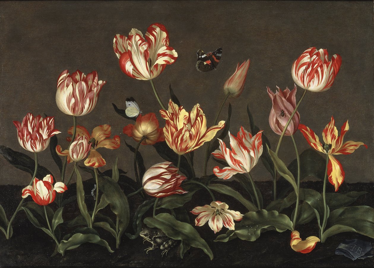 Nature morte avec des tulipes - Asetelma tulppaanien kanssa, Bosschaert, Johannes (n. 1610-n. 1650). Öljy puulle. Mitat: 46 x 64 cm. Tukholman kansallismuseo tekijältä Johannes Bosschaert