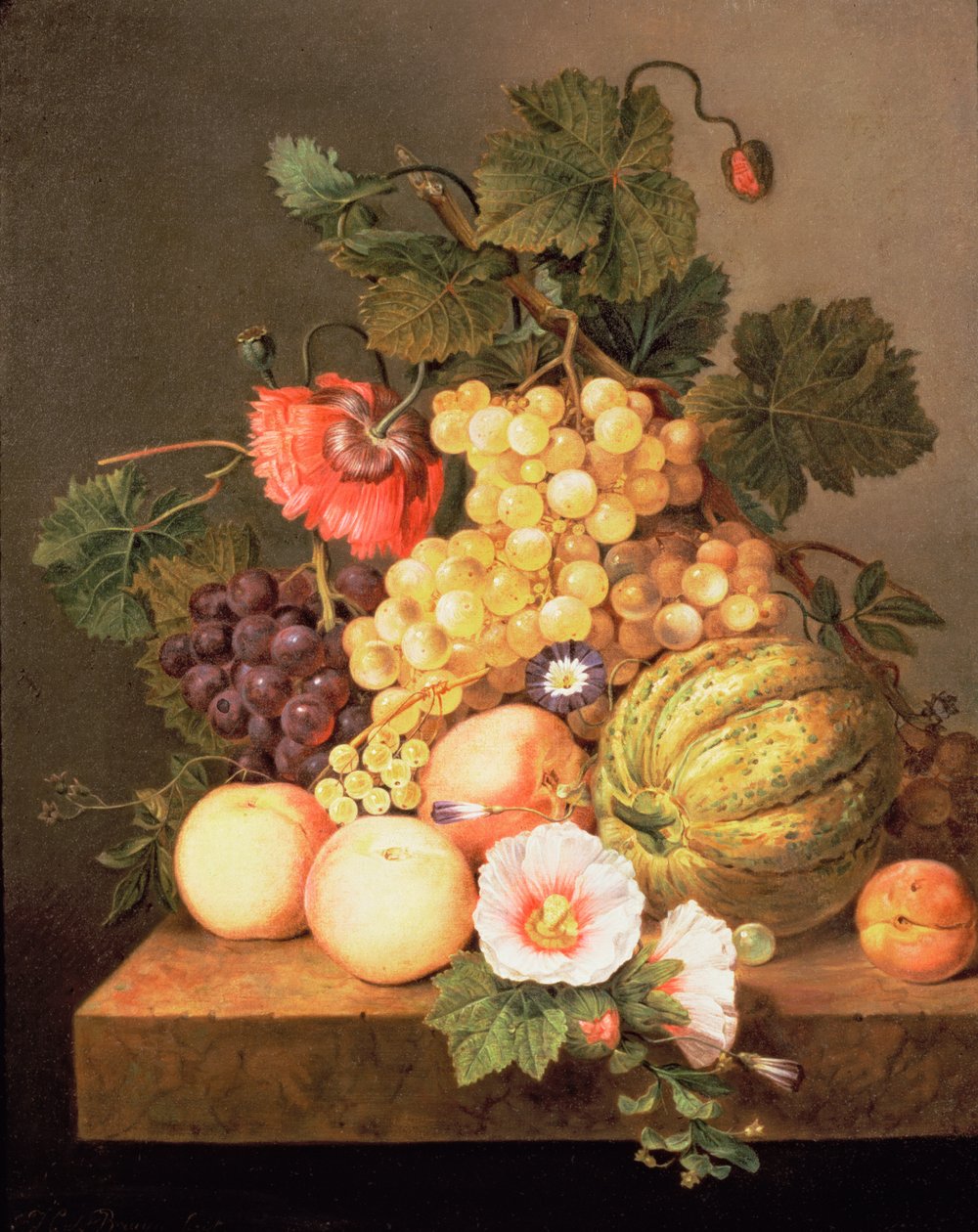 Buhay pa rin kasama ang fruitfinn tekijältä Johannes Cornelis Bruyn