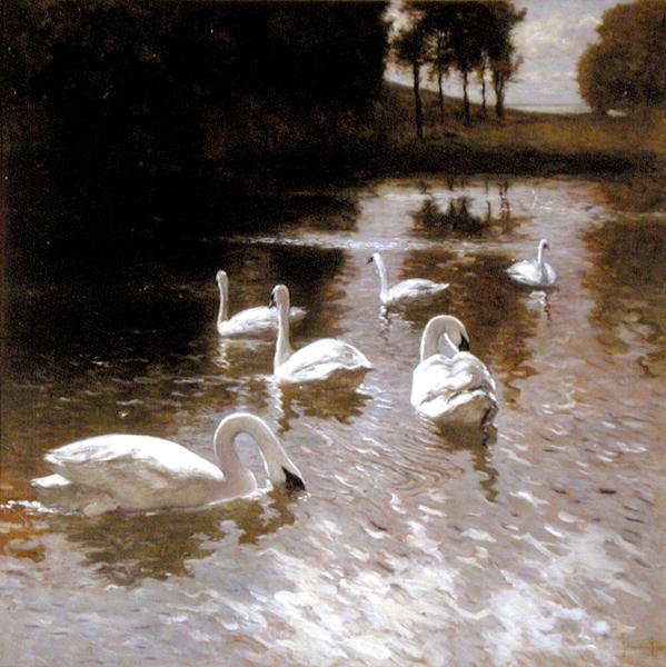 Joutsenet järvellä, n. 1890 (öljy kankaalle) tekijältä Johannes Cornelis van Essen