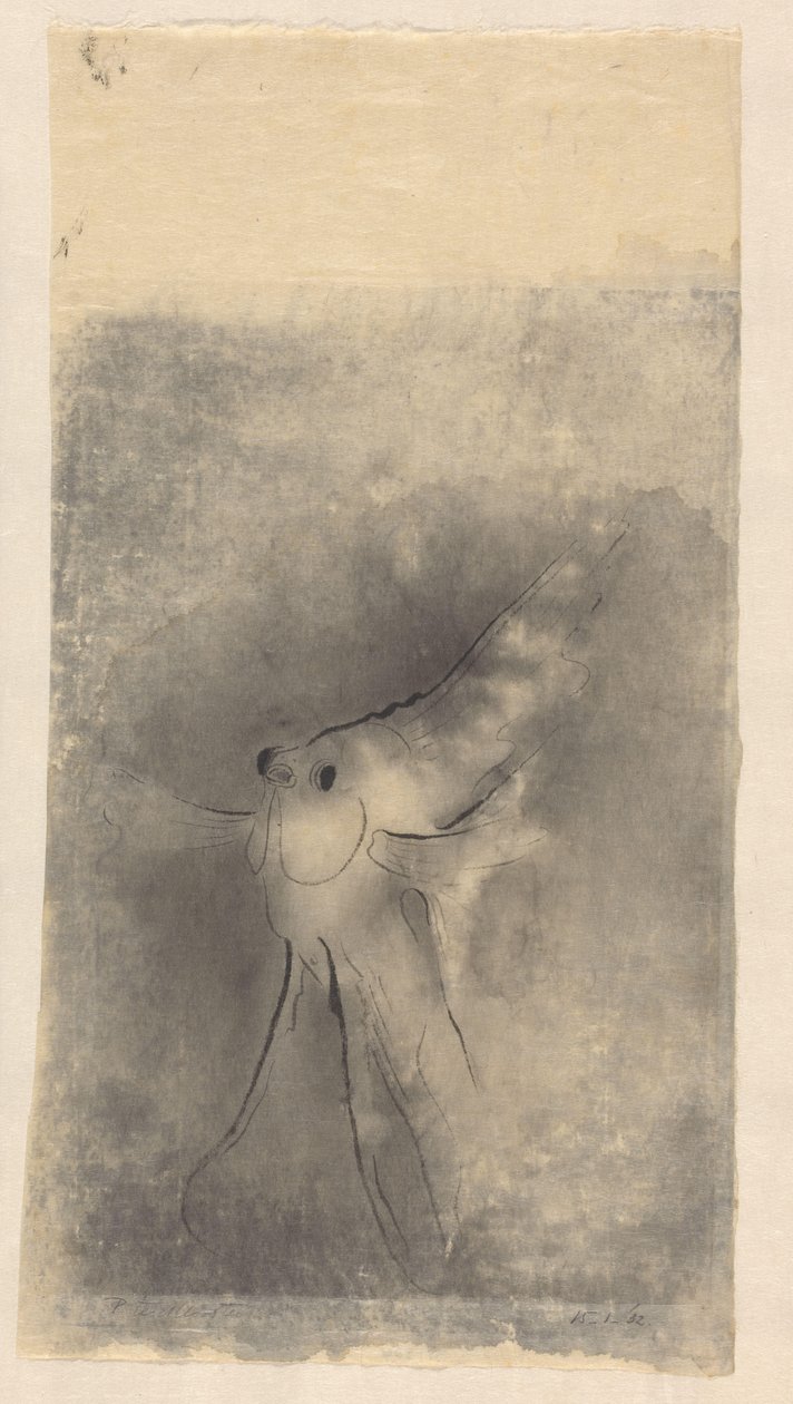 aurinkokala tekijältä Johannes Frederik Engelbert ten Klooster (signed by artist)