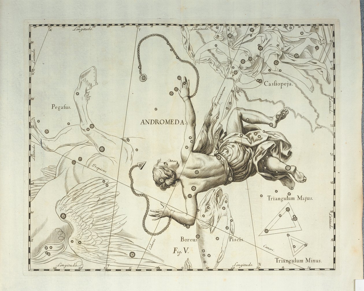 Boreaalinen Andromedan tähdistö, kaiverrus taivaan atlassta Firmamentum Sobiescianum sive Uronographia, Johann Hevelius (1611-1687), Gdansk tekijältä Johannes Hevelius