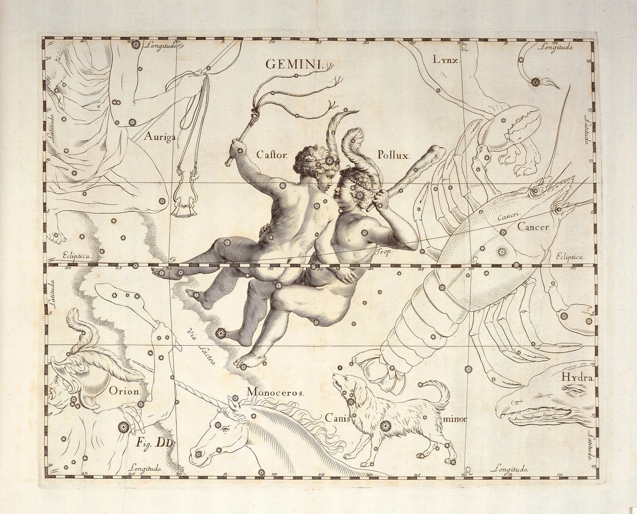 Kaksosten tähtikuvio, kaiverrus taivaallisesta atlassta Firmamentum Sobiescianum sive Uronographia, Johann Hevelius (1611-1687), Gdansk tekijältä Johannes Hevelius