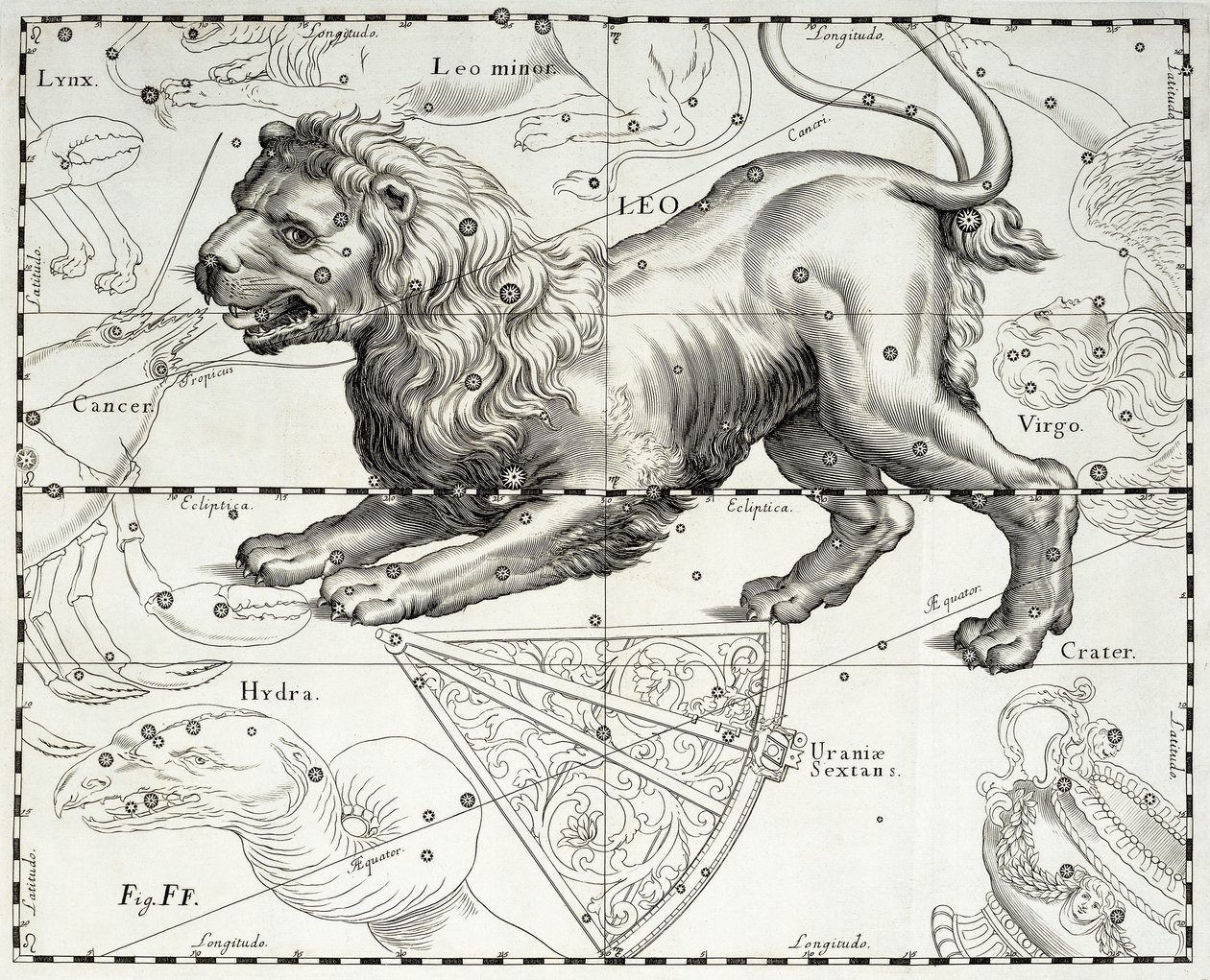 Leijona, leijonan tähtikuvio, kuvitus Johann Heveliuksen (1611-1687) tähtien kartasta Firmamentum Sobiescianum sive Uranographia, Gdansk tekijältä Johannes Hevelius