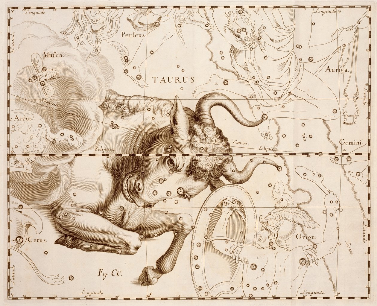 Härkä (horoskooppimerkki), kaiverrus teoksesta Firmamentum Sobiescianum sive Uranographia, Täydellinen tähtiluettelo, Johann Hevelius (1611-1687), painettu Gdanskissa. tekijältä Johannes Hevelius